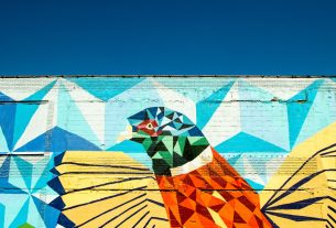 bird mural during daytime