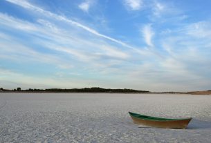 green boat on sea shore during daytime